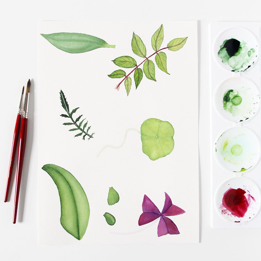 Learn to Paint Watercolor Leaves