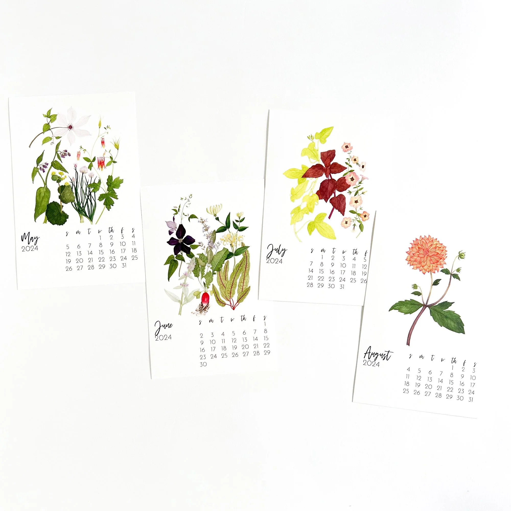 2024 Botanical Watercolor Desk Calendar — My Giant Strawberry Creative