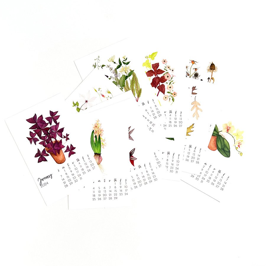 2024 Watercolor Garden Calendar From Anne Butera