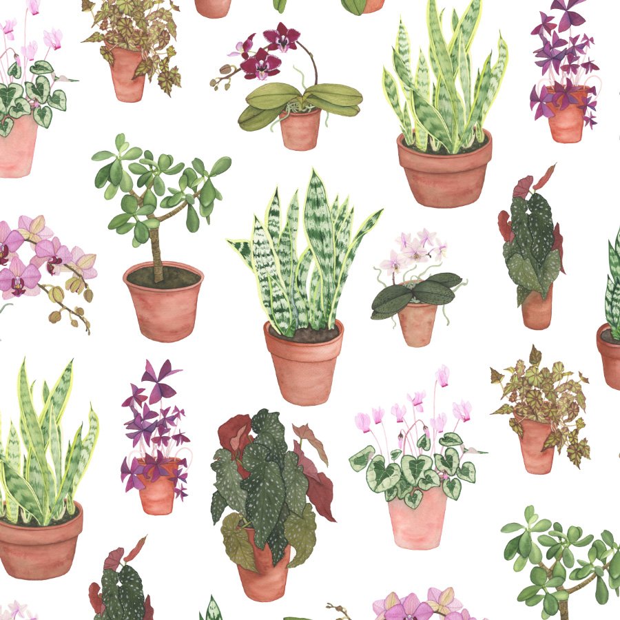 Cool Color Flowering Houseplants Fabric Design