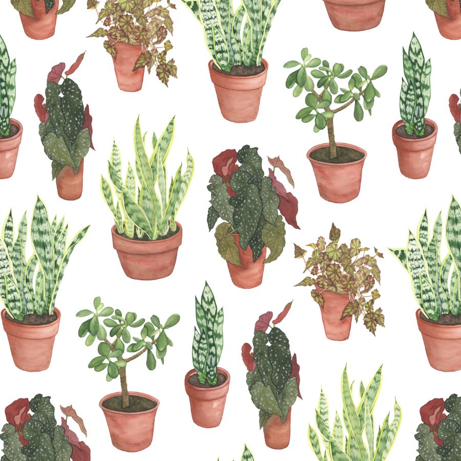 Potted Houseplants Fabric Design