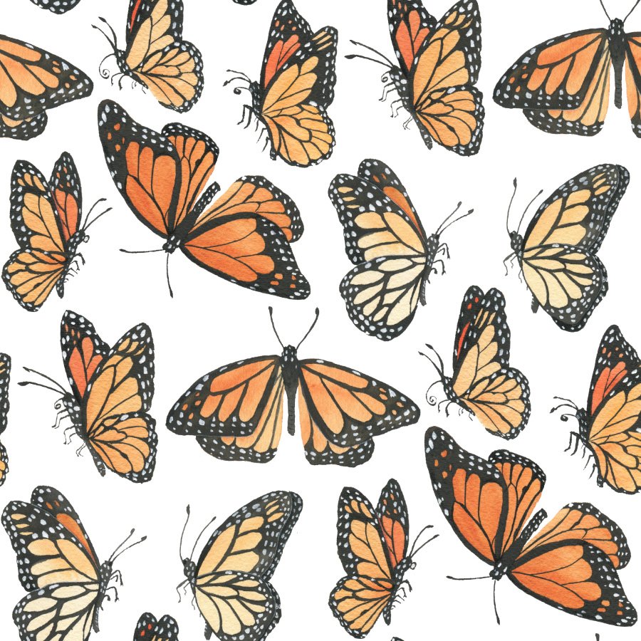 Watercolor Monarchs