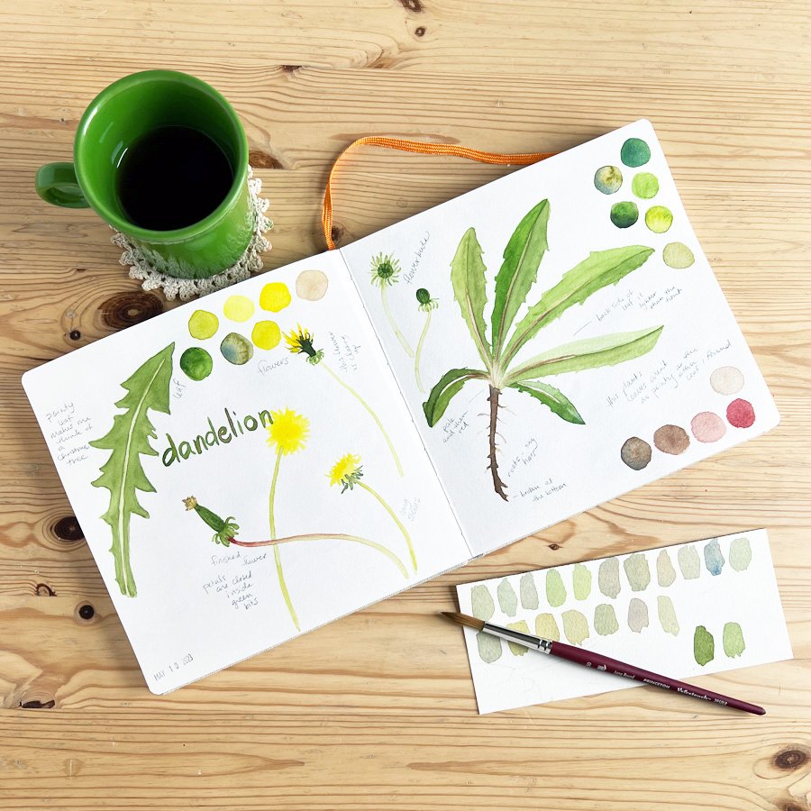 Dandelions Sketchbook Spread