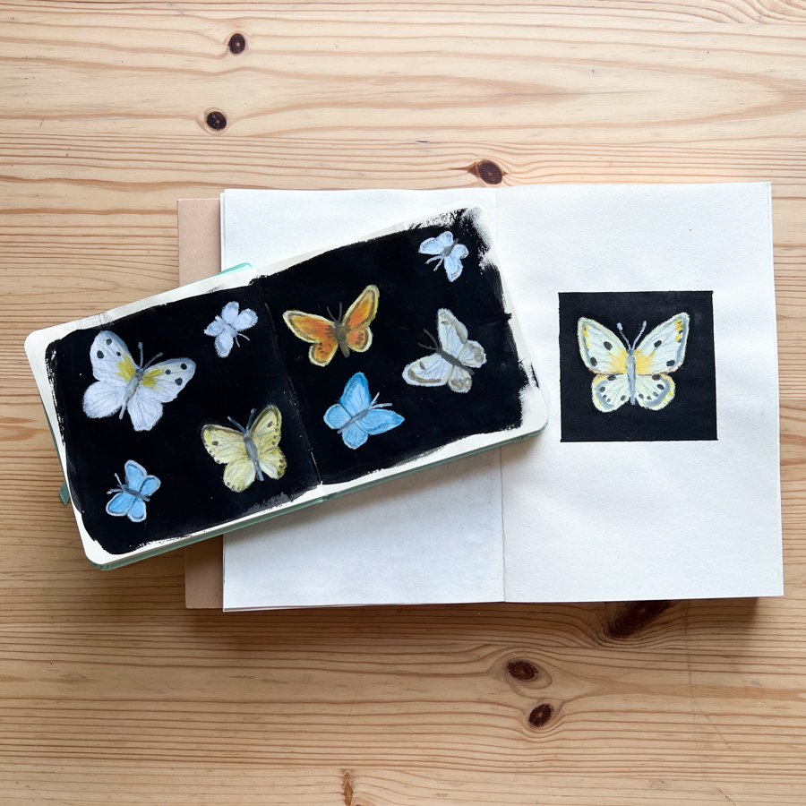 Butterflies Sketchbook Pages