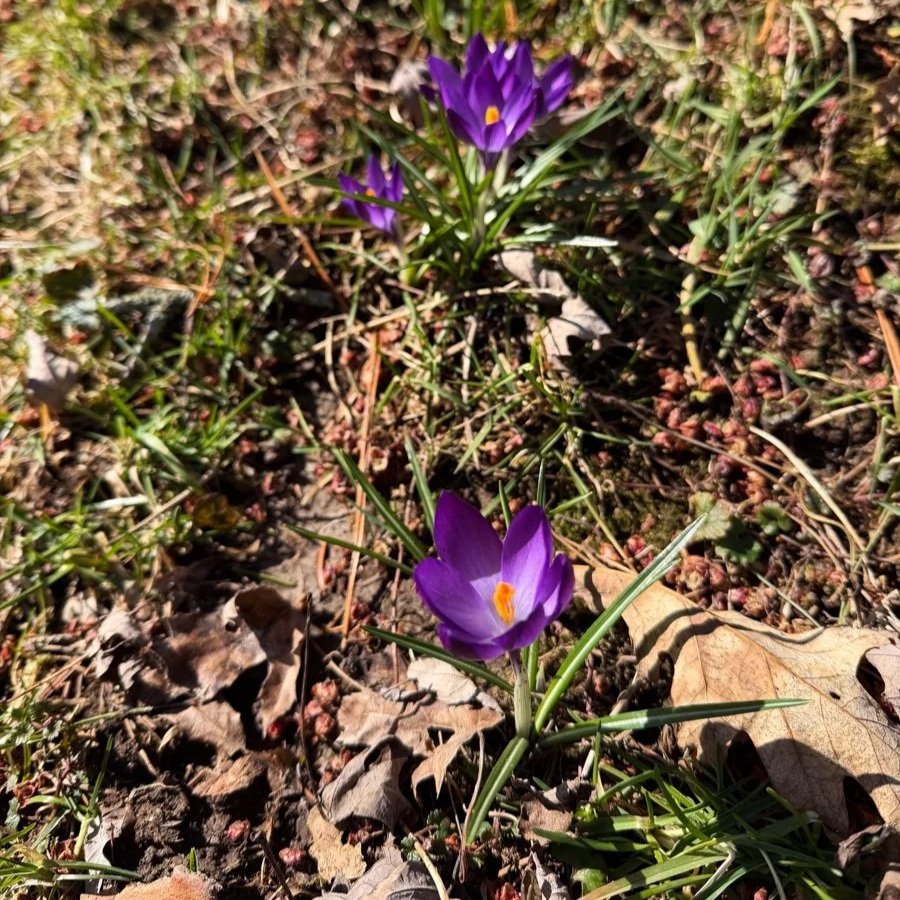 Saying Goodbye, For Now