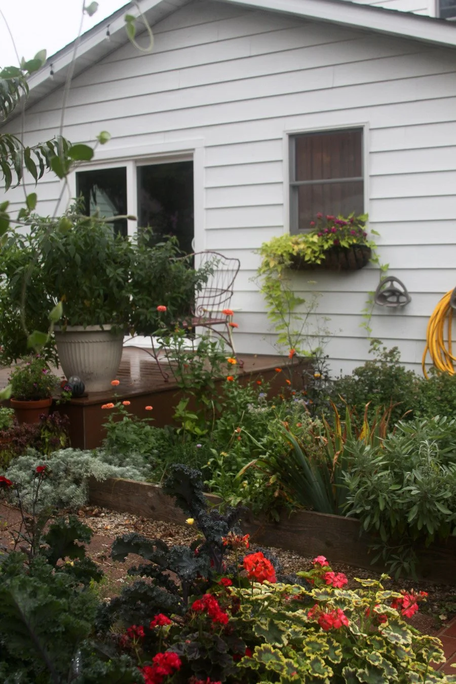 garden paths lead to a deck surrounded by raised beds