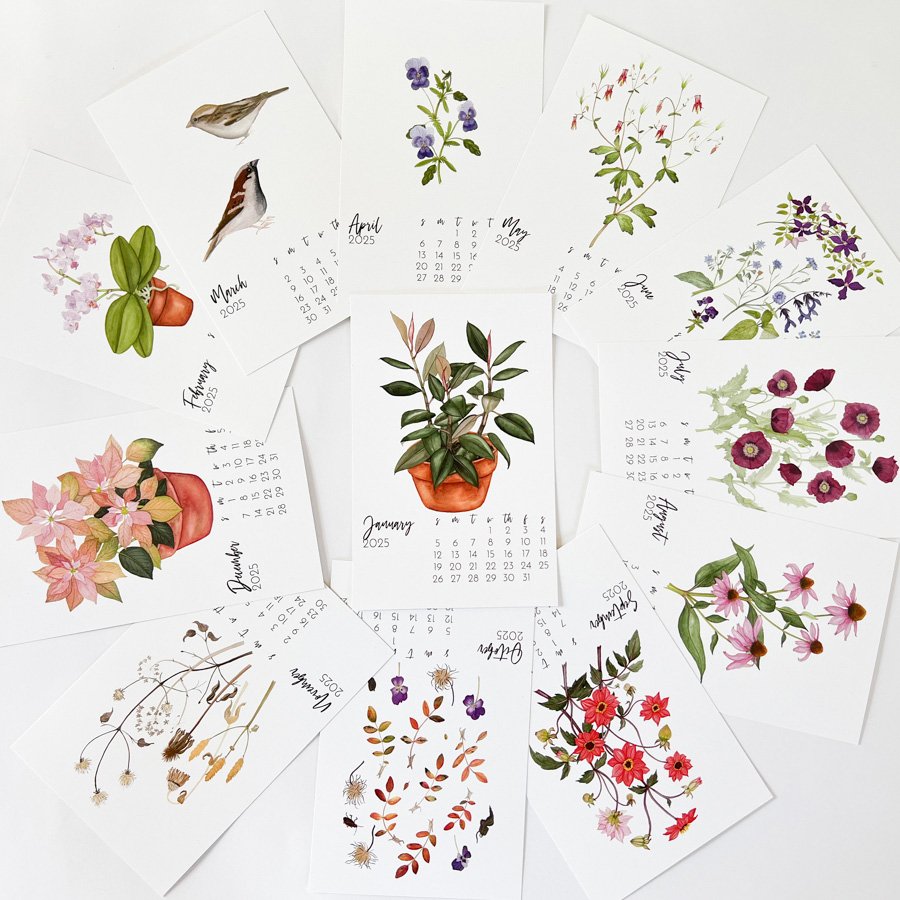 Anne Butera's 2025 Watercolor Desk Calendar