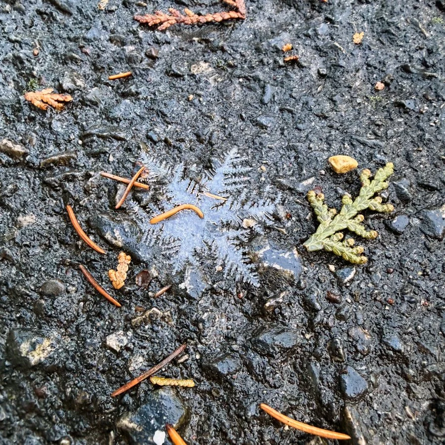a beautiful huge ice crystal looks like a giant snowflake