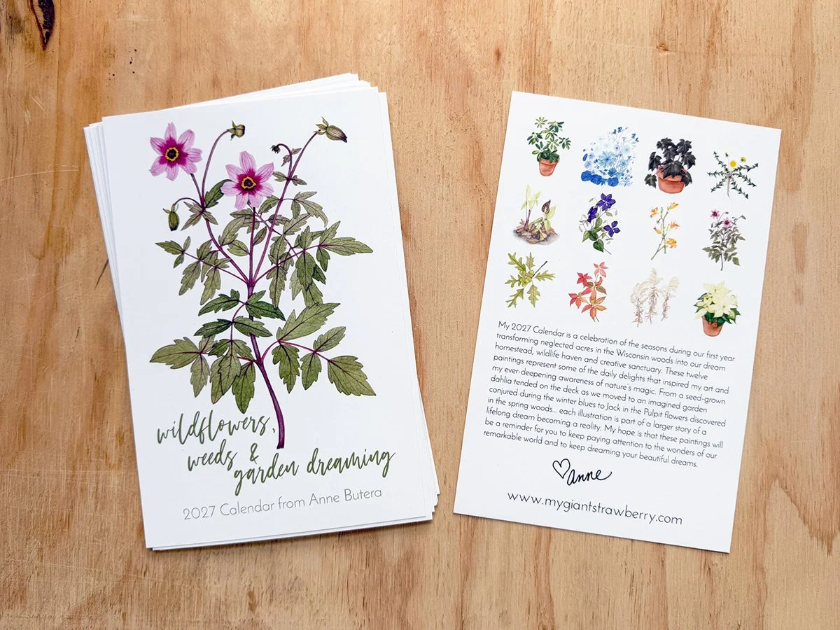 the front and back covers of Anne Butera's 2027 Botanical Watercolor Desk Calendar