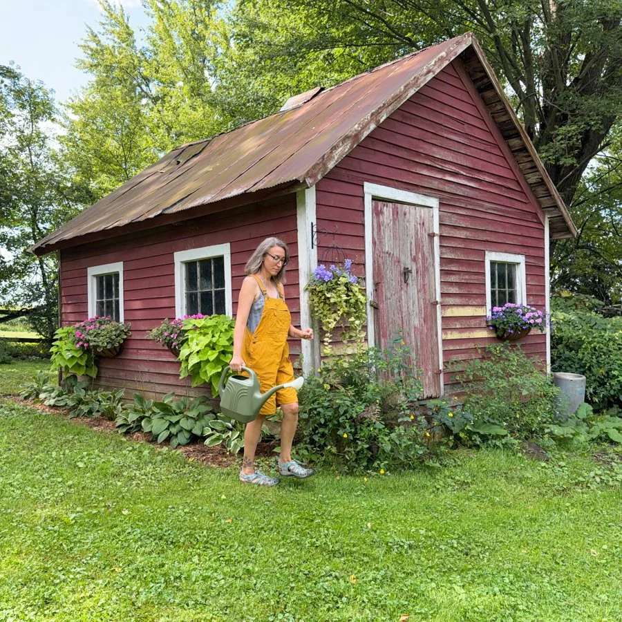 Anne Butera watering the window boxes and hanging basket at Jewelweed Cottage her future garden studio