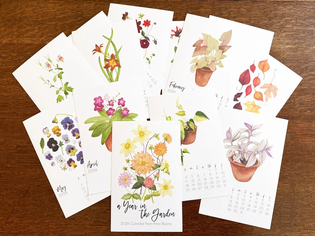 2026 Calendar Year in the Garden.jpg