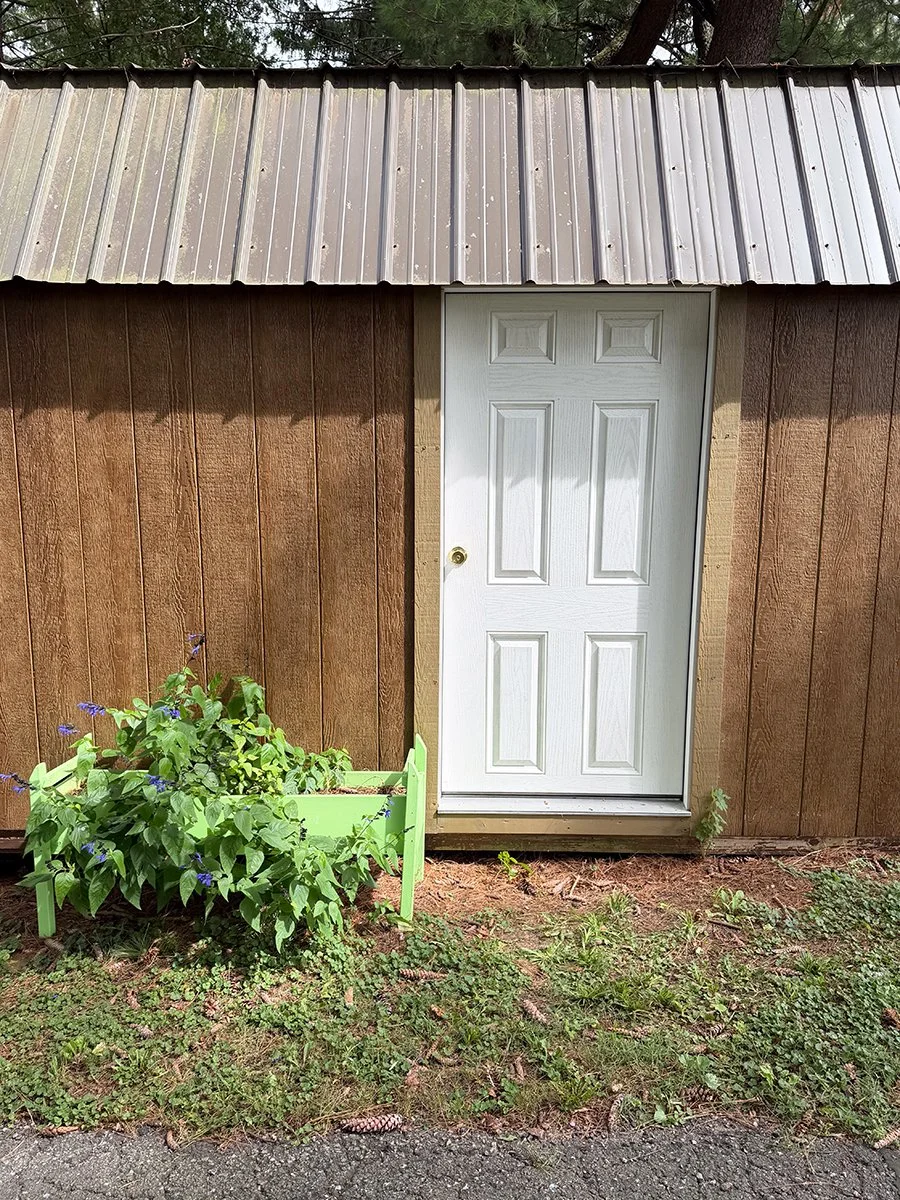 a jarringly white door on the side of a shed