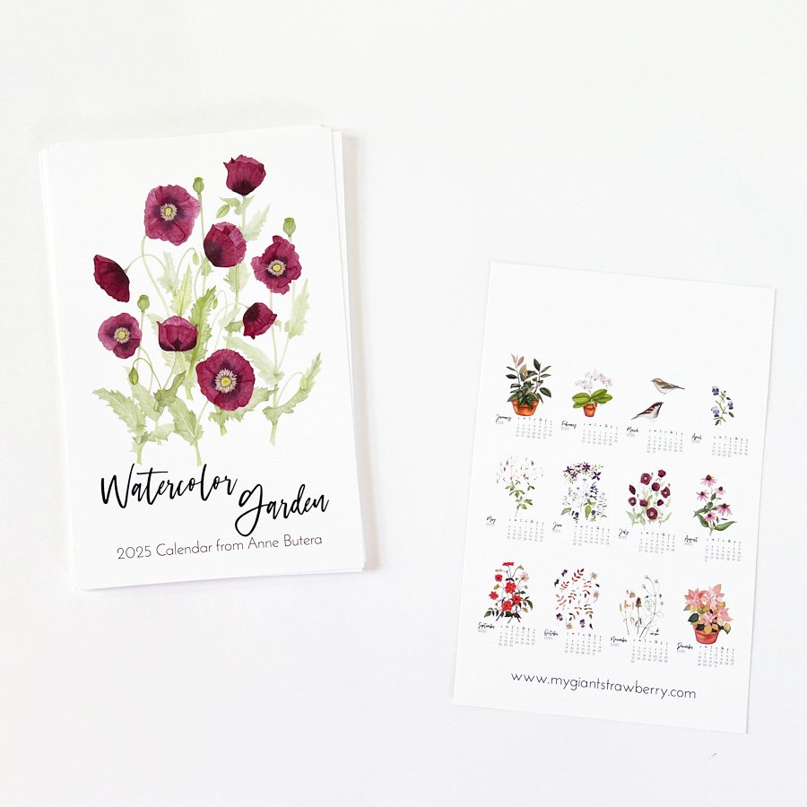Watercolor Garden 2025 Desk Calendar from Anne Butera