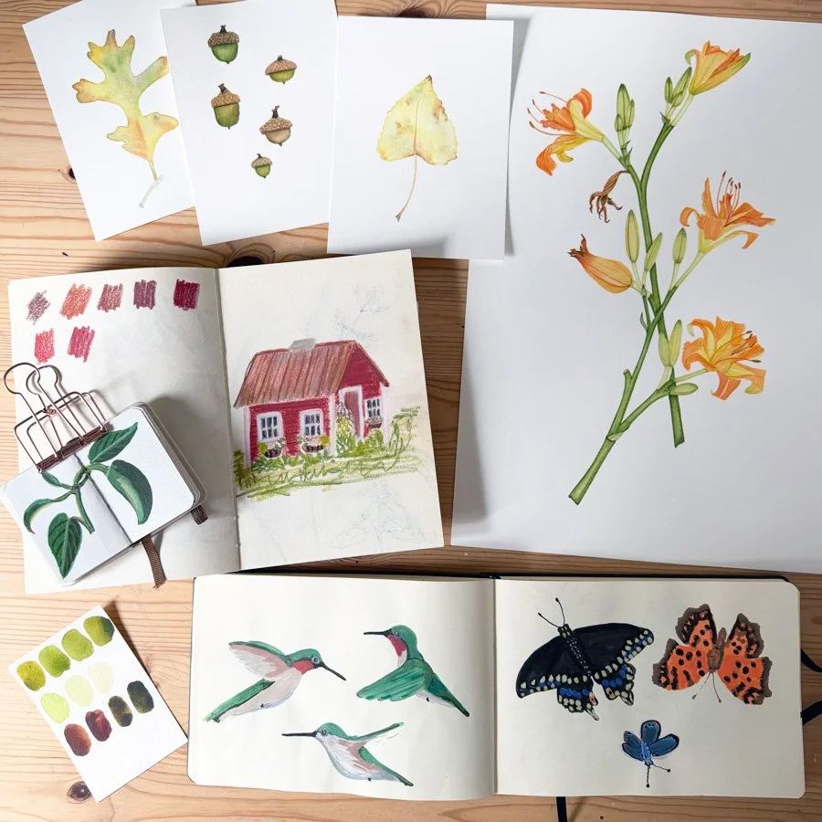 An assortment of playful sketchbooks and botanical watercolor paintings on Anne Butera's studio table