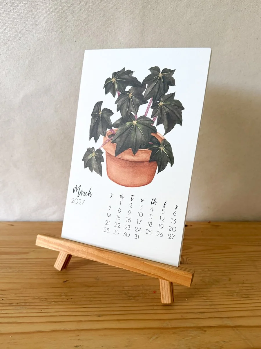 The March Page of Anne Butera's 2027 Watercolor Desk Calendar features a painting of a begonia plant in a clay pot