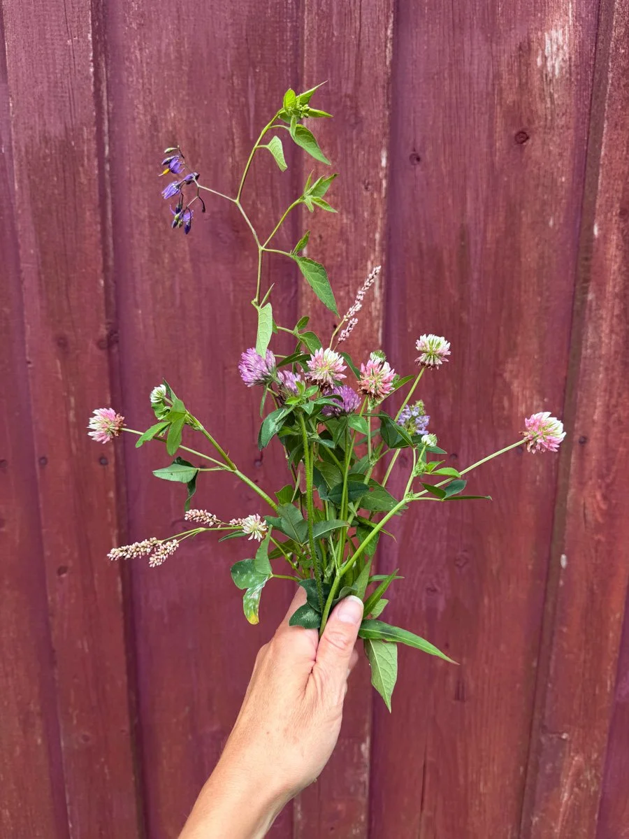 a handful of foraged weeds makes a pretty bouquet