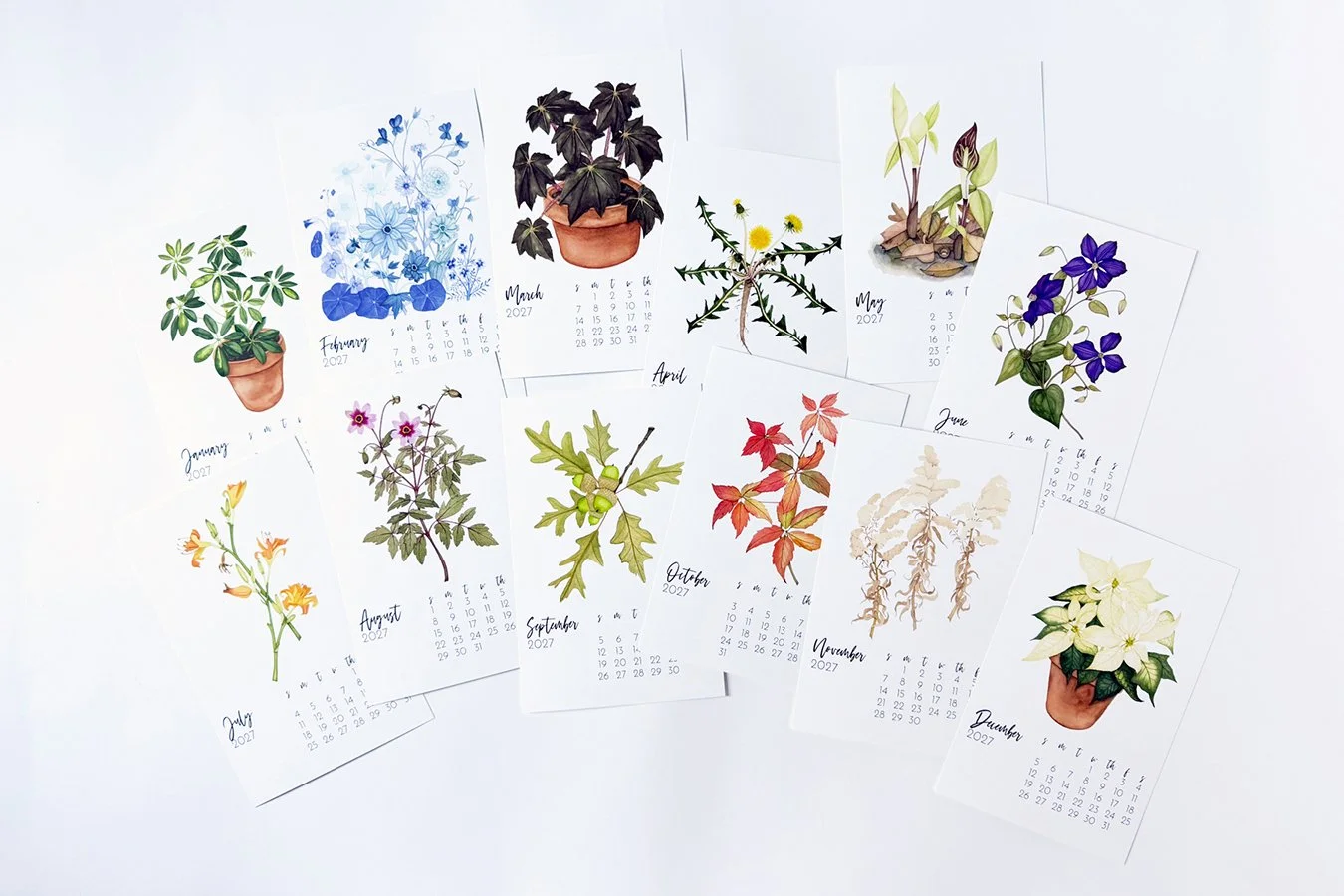 Anne Butera's beautiful botanical watercolor desk calendar spread out to see all of the months at once