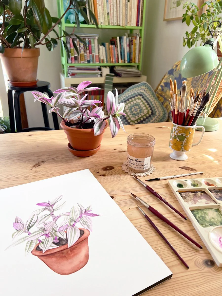 Painting a Tradescantia Plant.jpg
