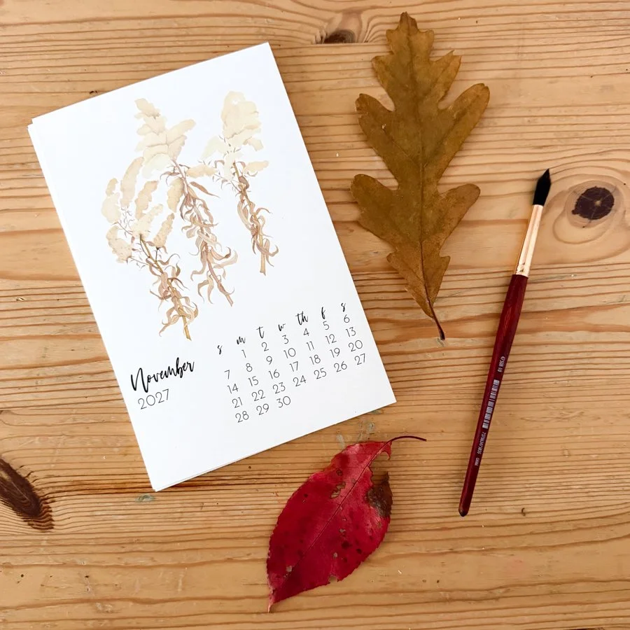 Anne Butera's November 2027 Desk Calendar page features a watercolor painting of goldenrod flowers gone to seed
