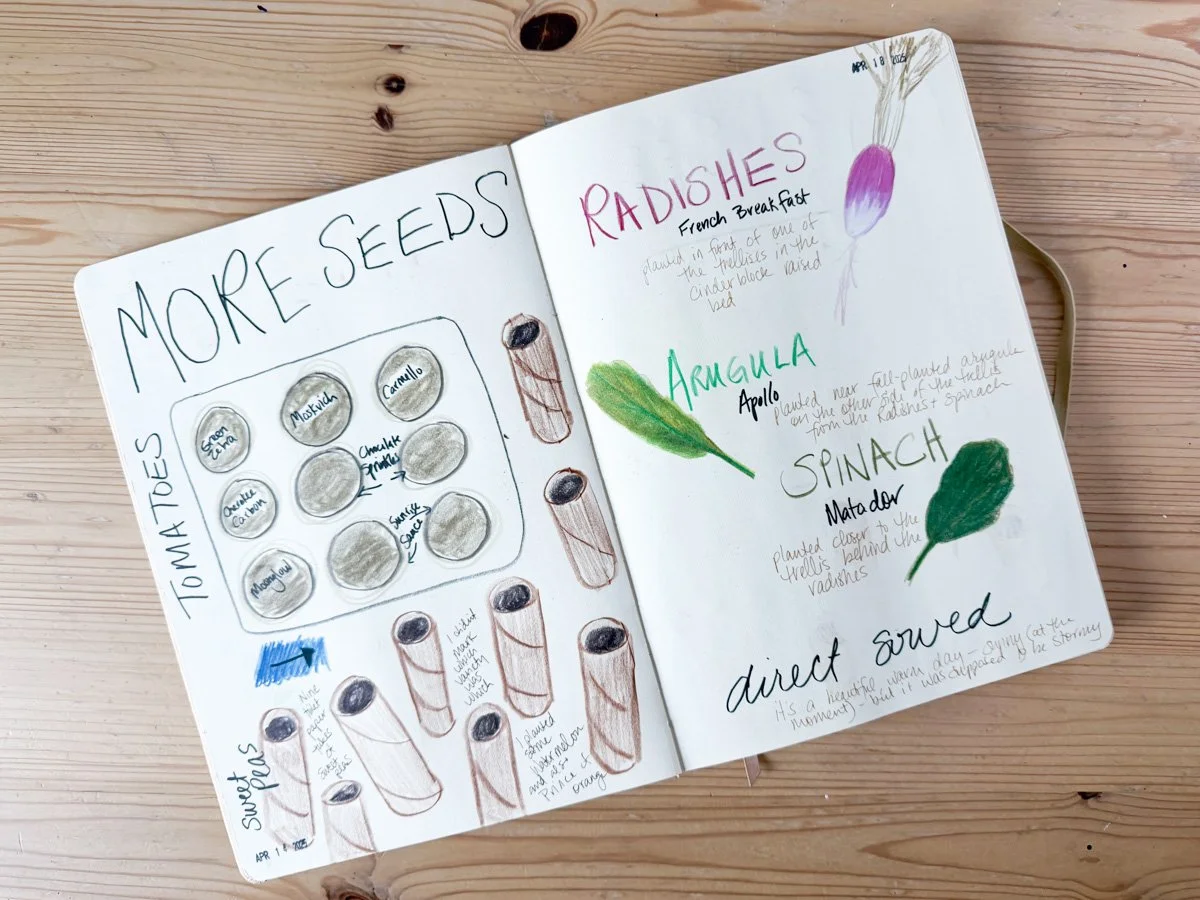 A playful spread from artist Anne Butera's garden journal