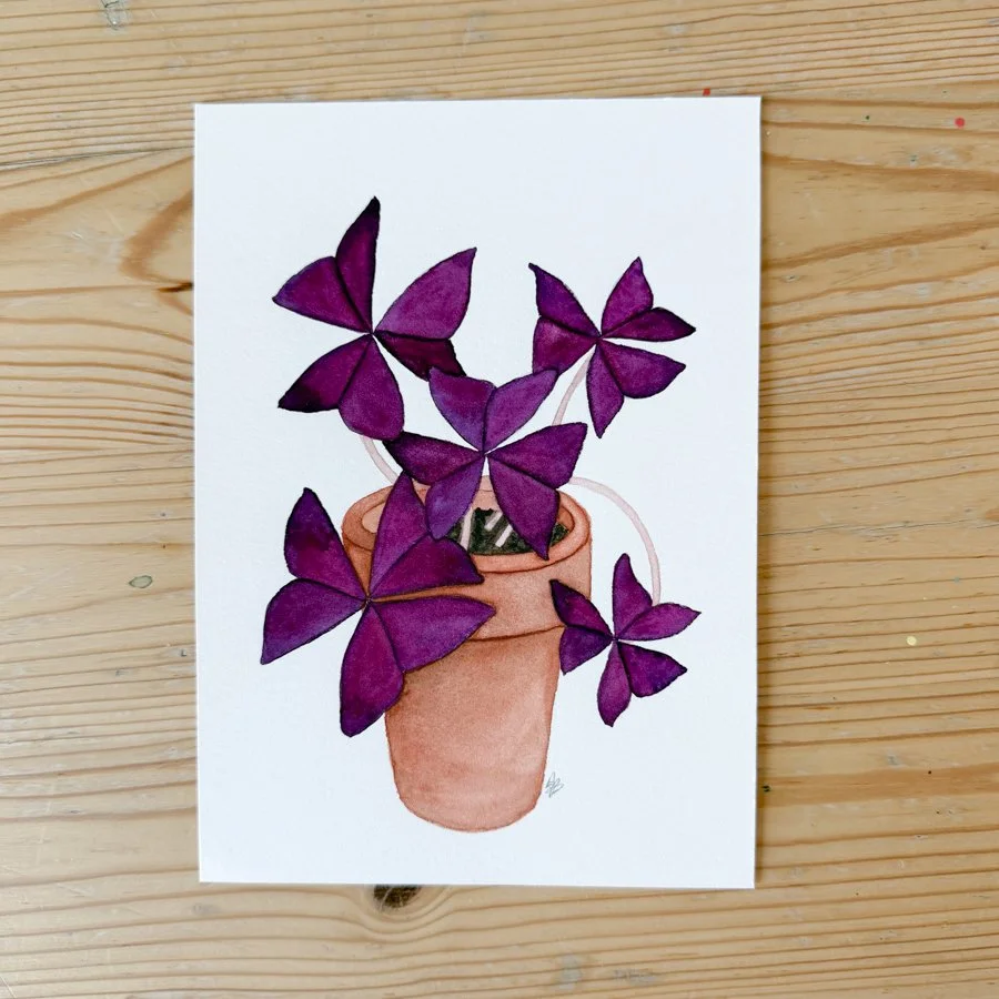 Little Oxalis Painting.jpg
