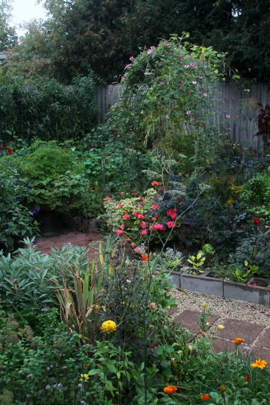 this autumn garden is filled with plants and flowers in different colors, some spilling out of raised beds and others rambling across arches over the paths