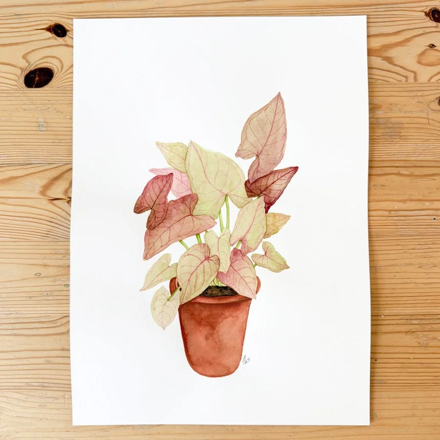 syngonium painting.jpg