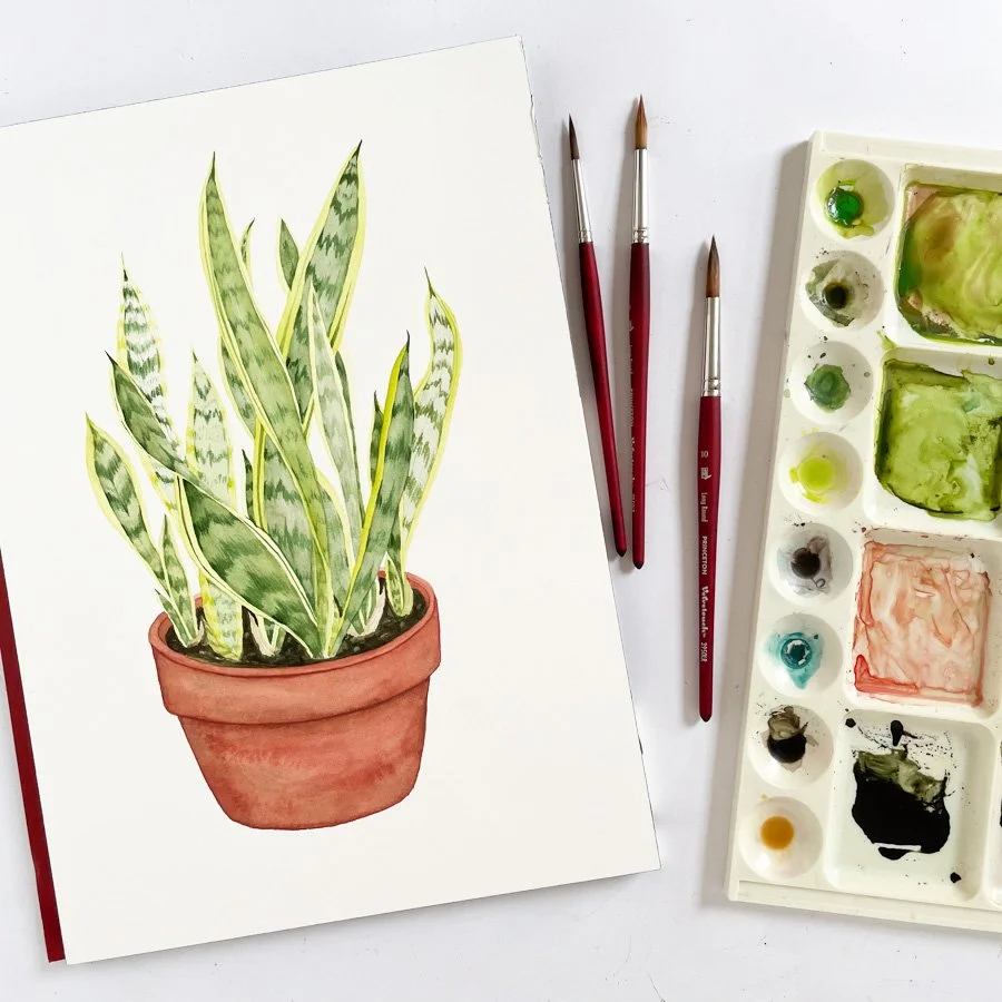 Snake Plant Painting.jpg