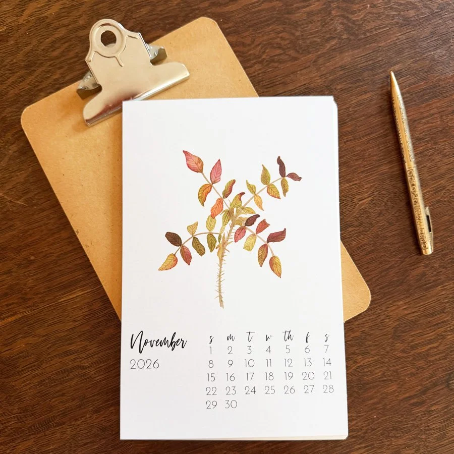 2026 Calendar November.jpg