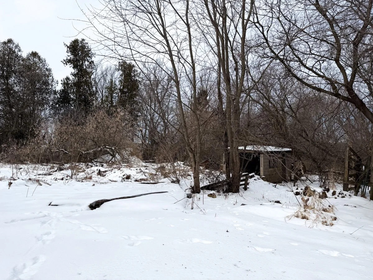 the remains of a barn beneath a layer of snow