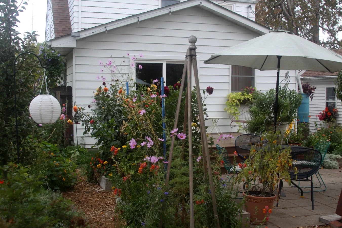 a late summer garden looking beautifully unkempt