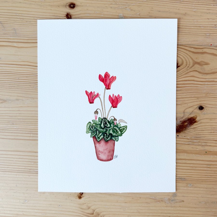 Cyclamen Painting.jpg