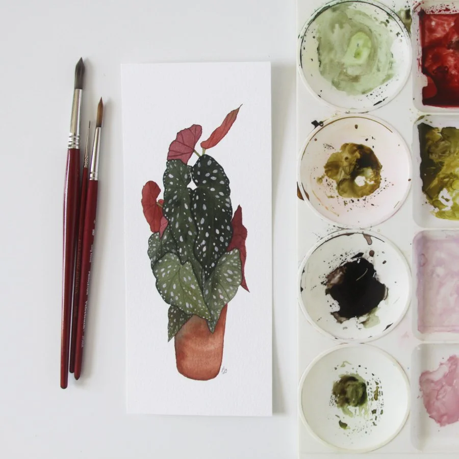 Begonia in a Clay Pot.jpg