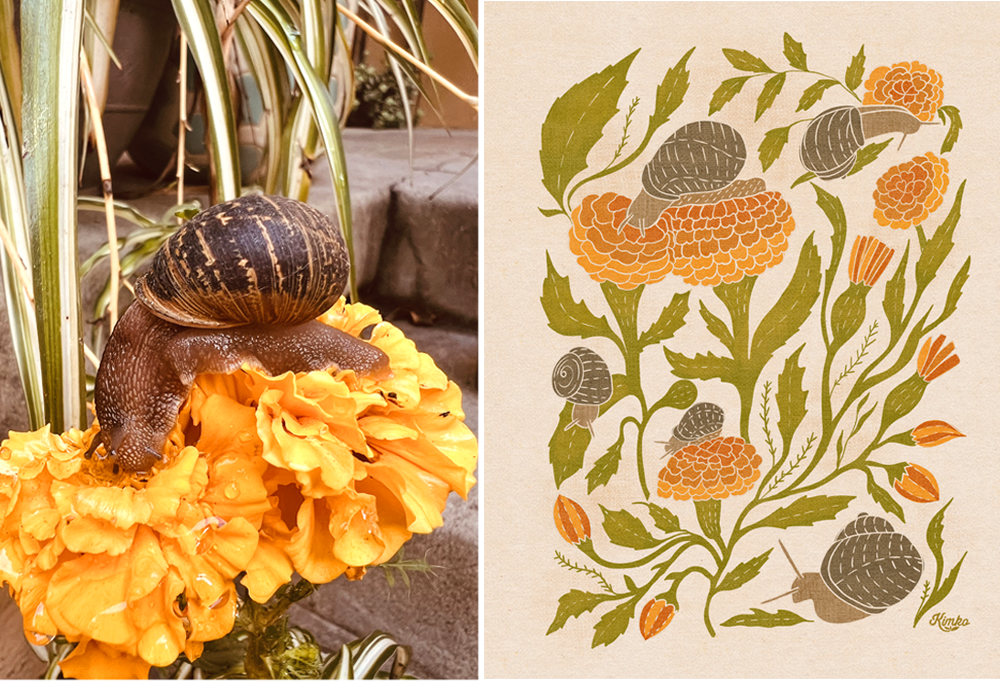 Inspiration next to art by Kim Koehler snails and marigold flowers