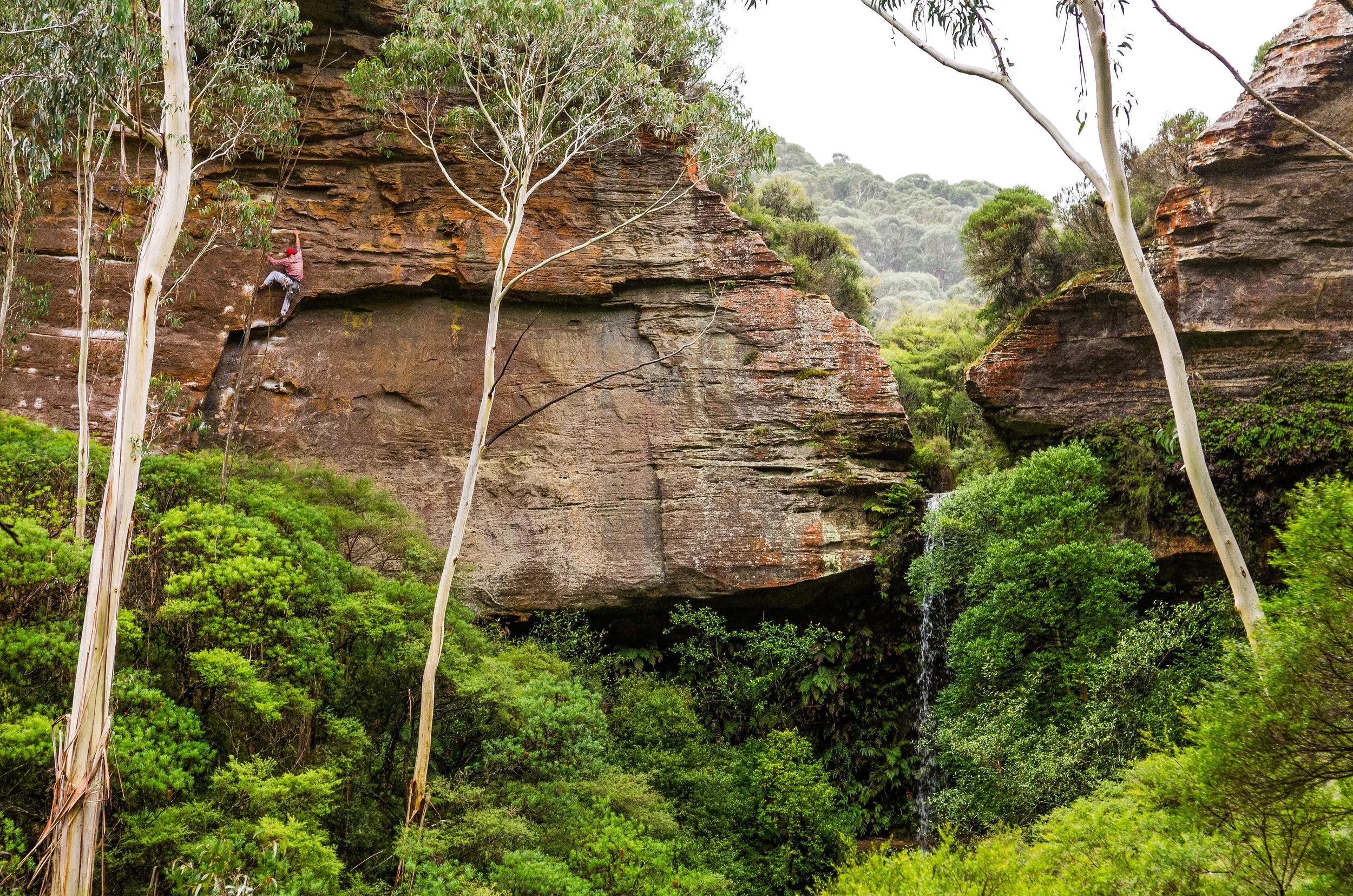 Bluemountains.jpg