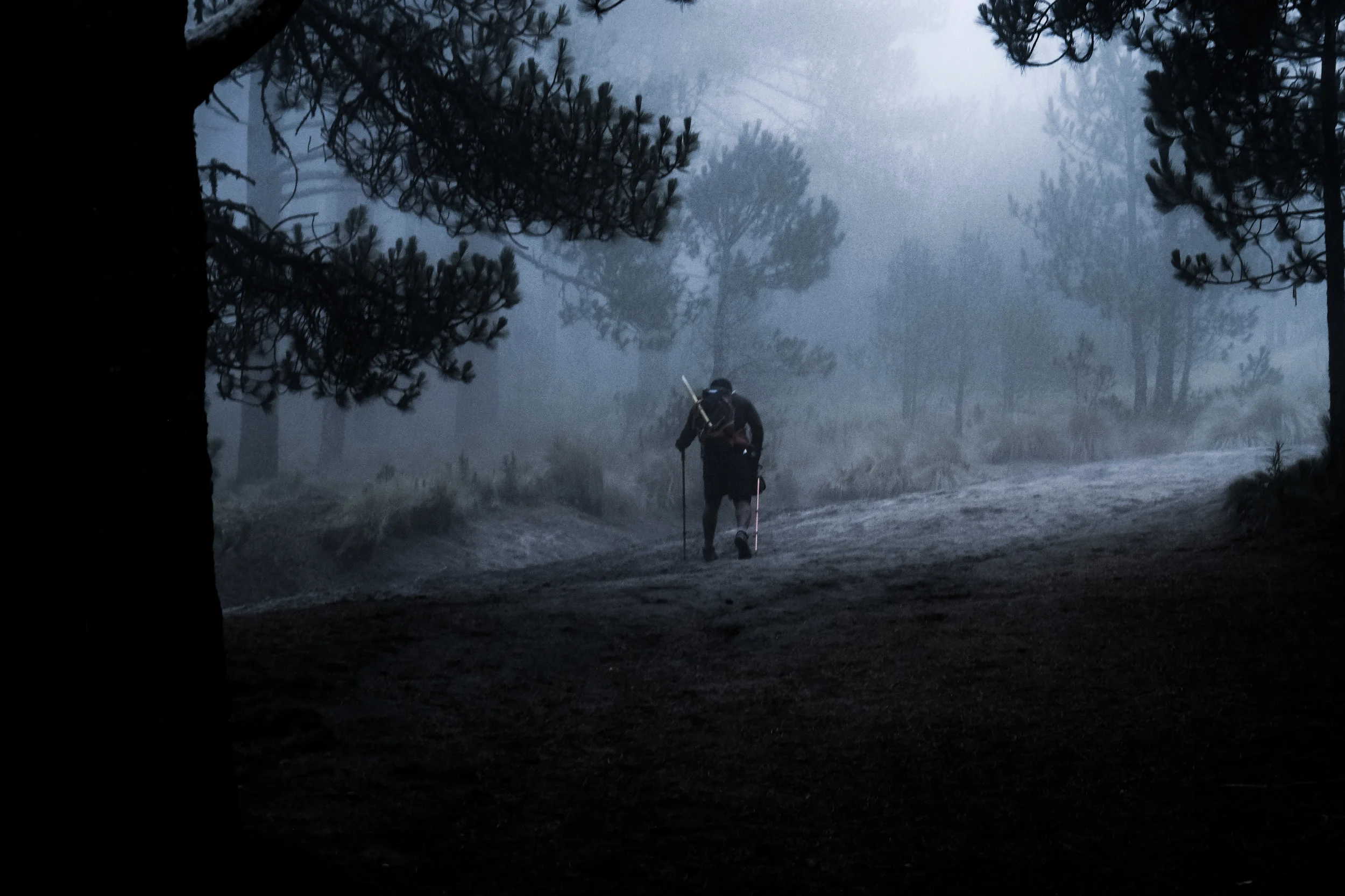 You will never walk alone