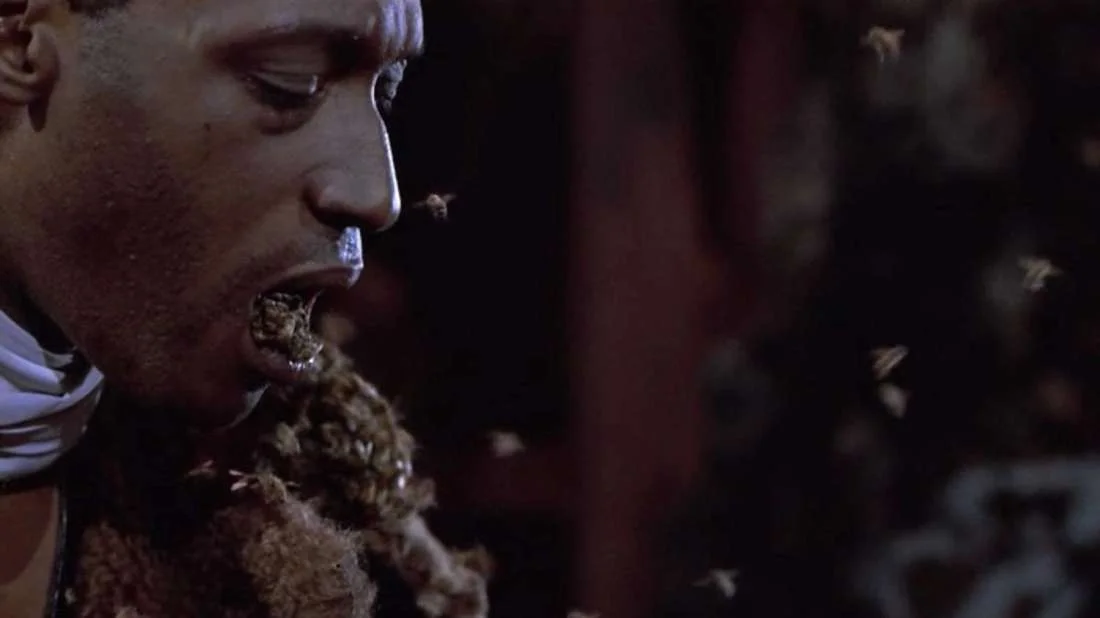 candyman.jpg