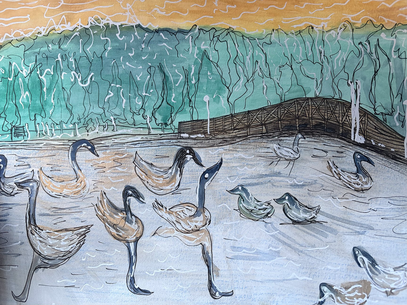 Goose pond 2.jpg