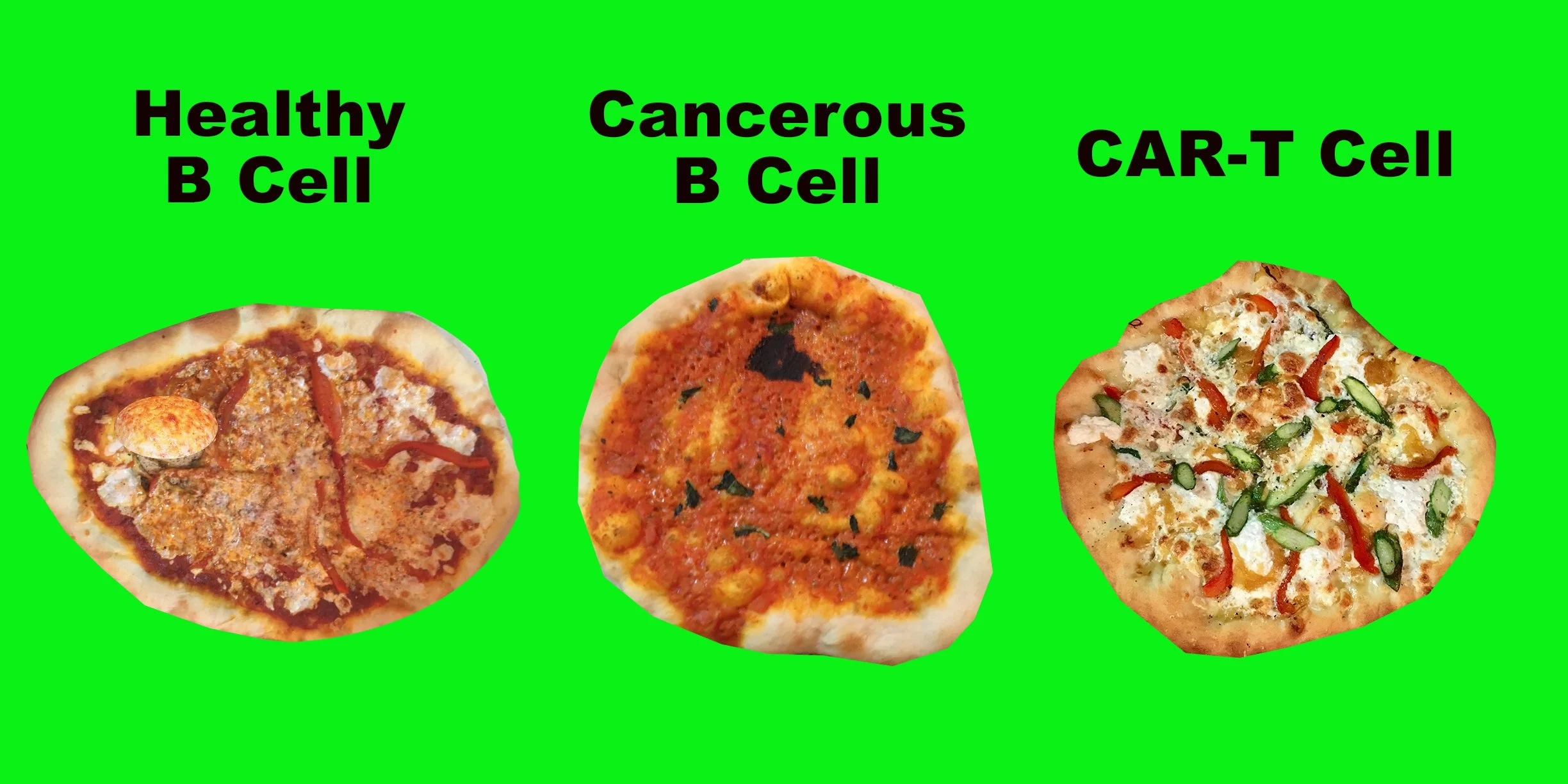 Kymriah Pizza Cells2.jpg