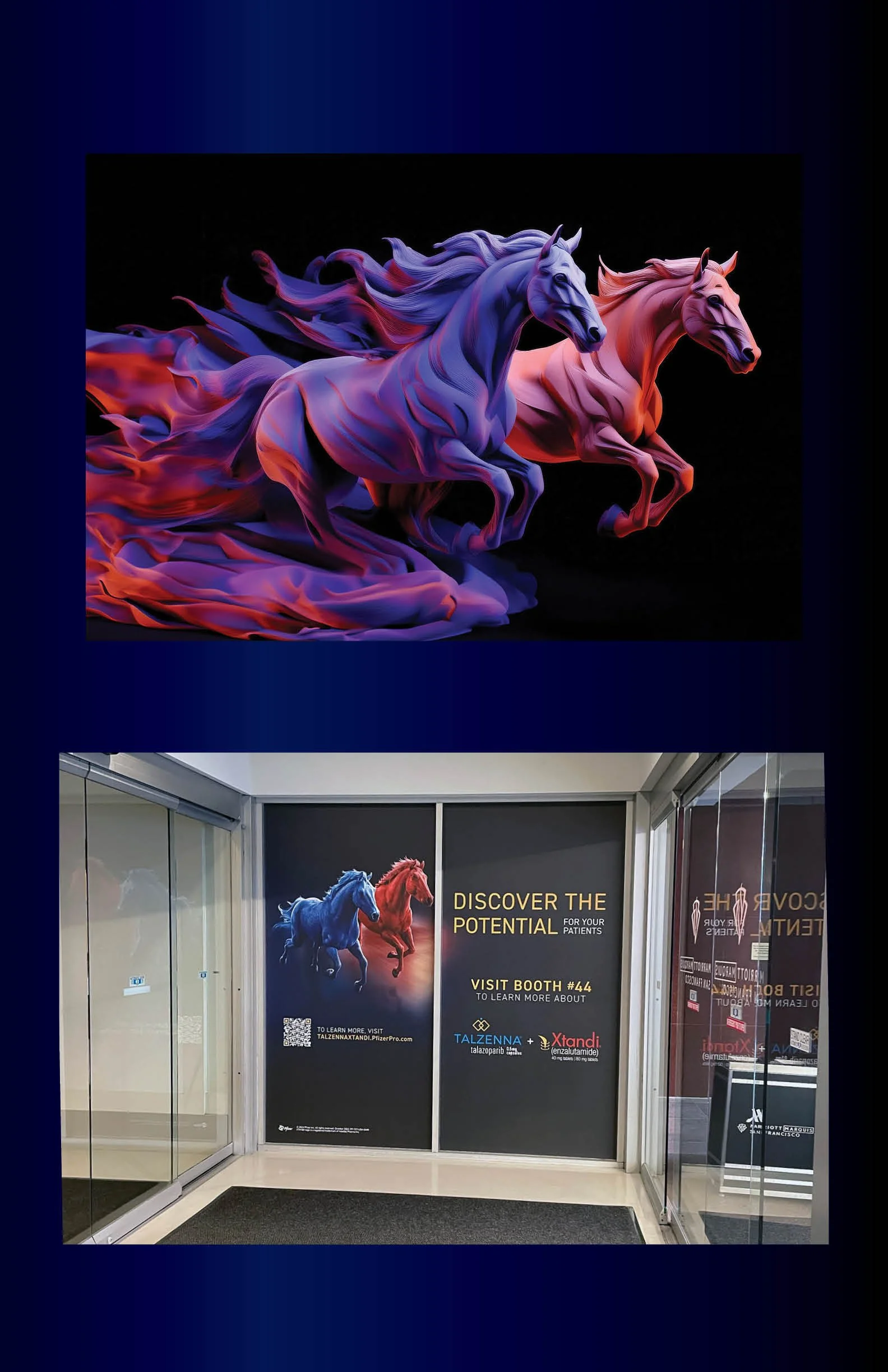 Horse banners.jpg