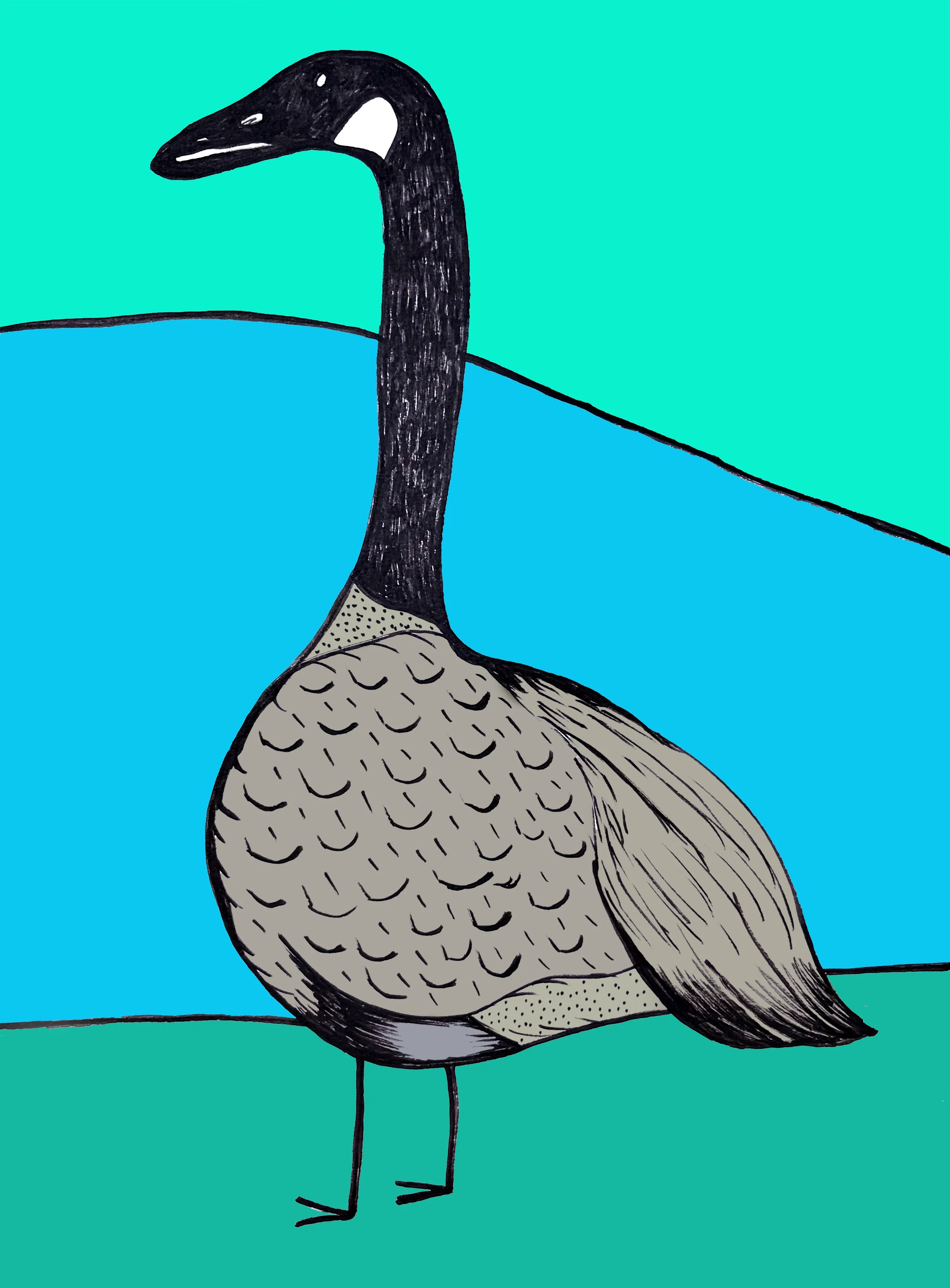 Goose 1 copy.jpg