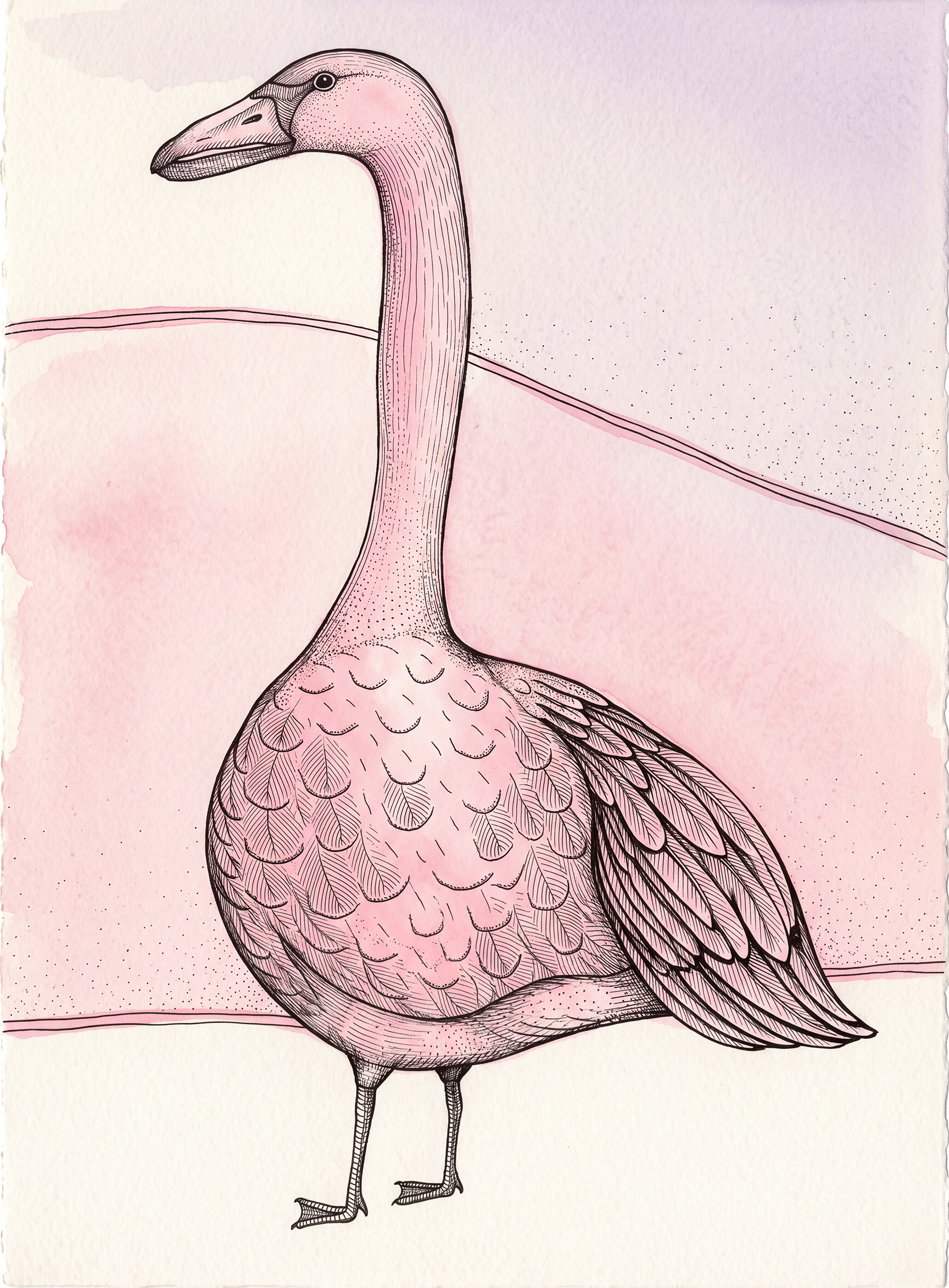 Pink Goose 2.png