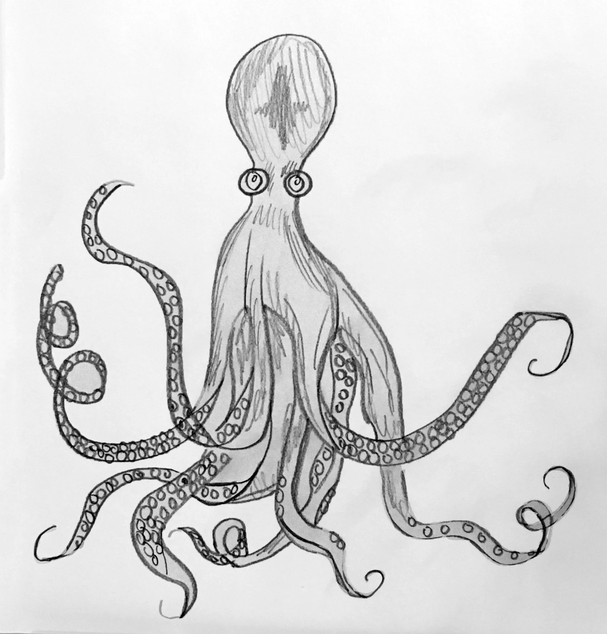 Octopuss copy.jpg