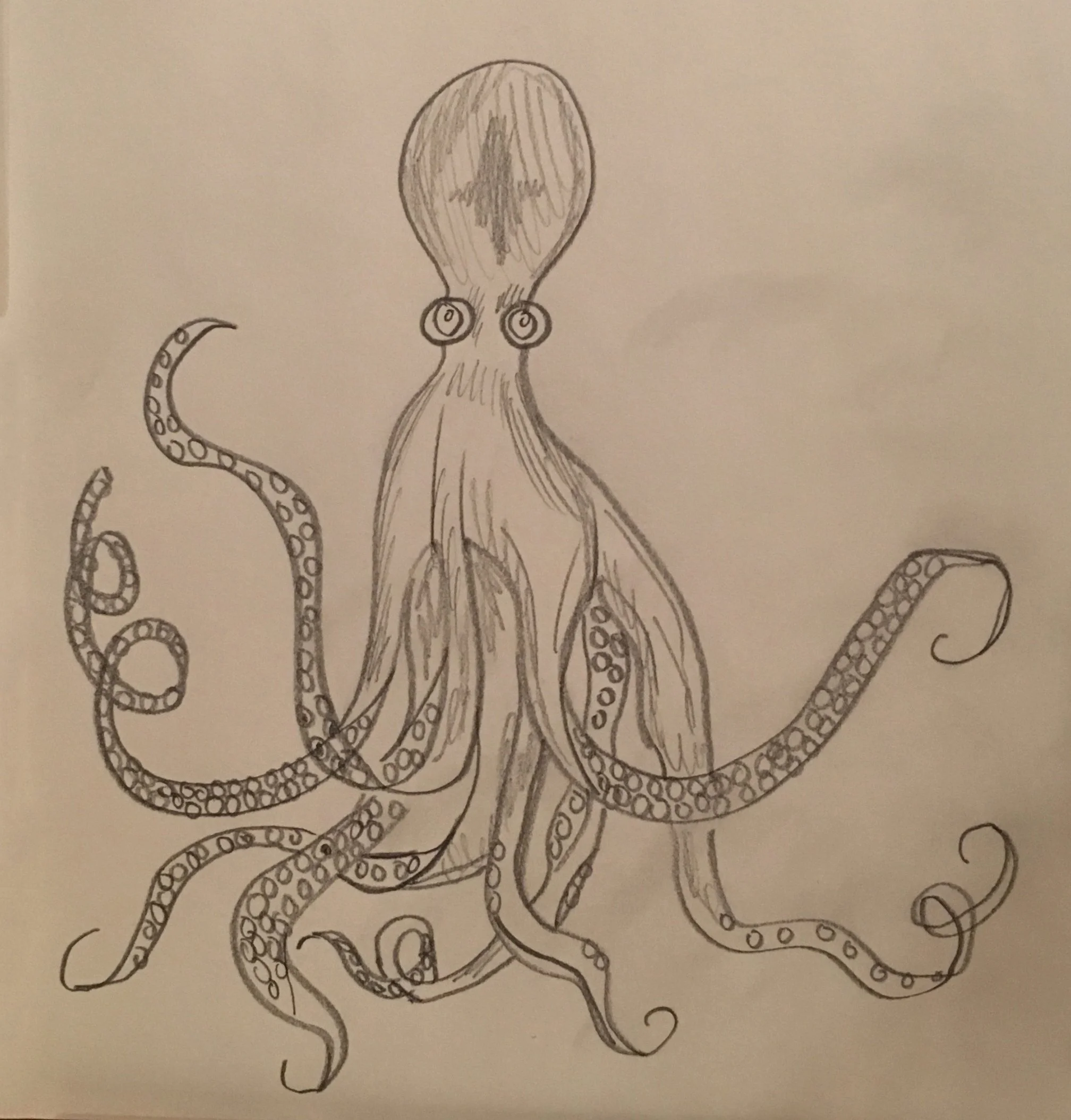 Octopuss.jpg