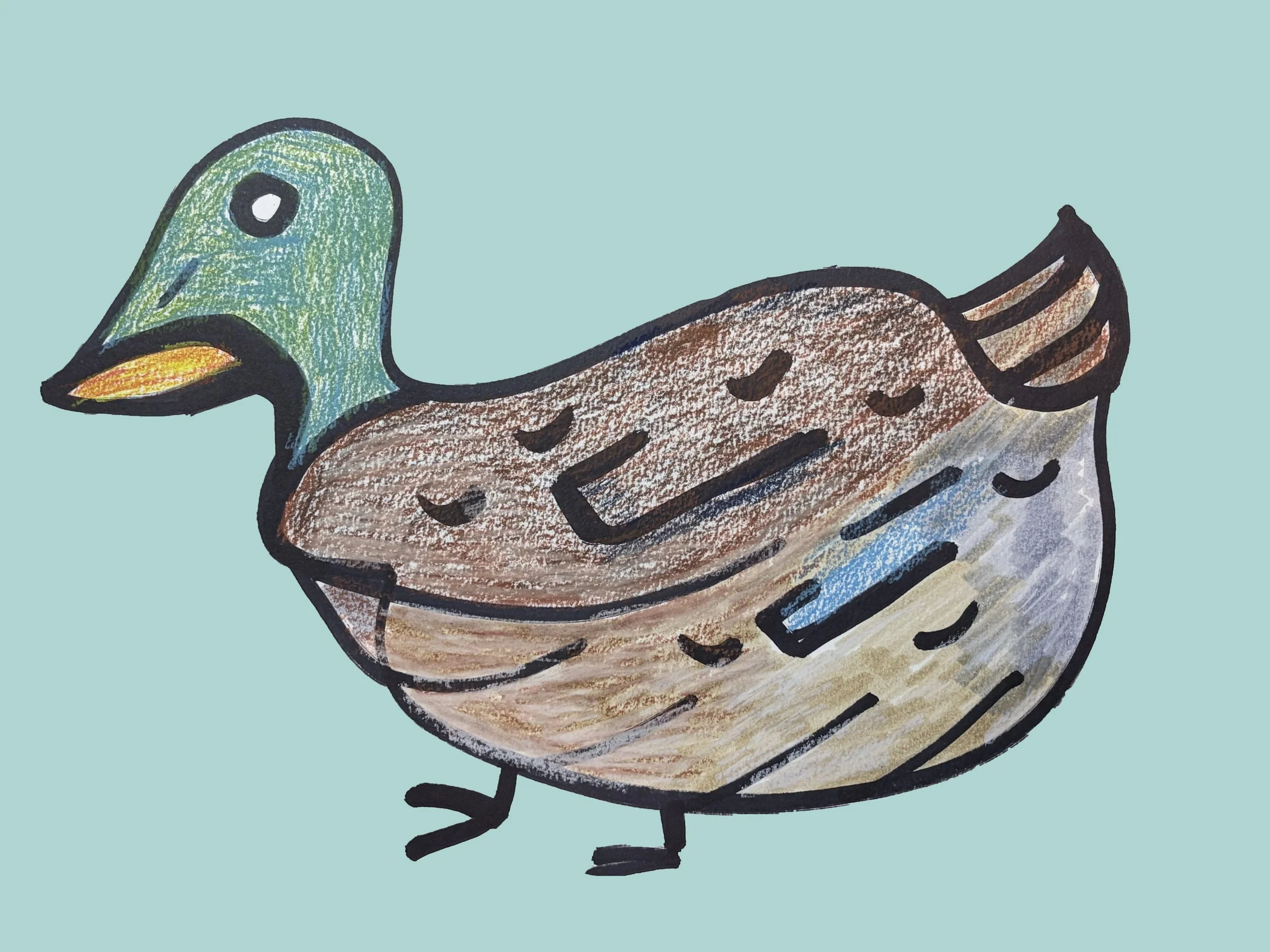 Color Duck copy 2.jpg
