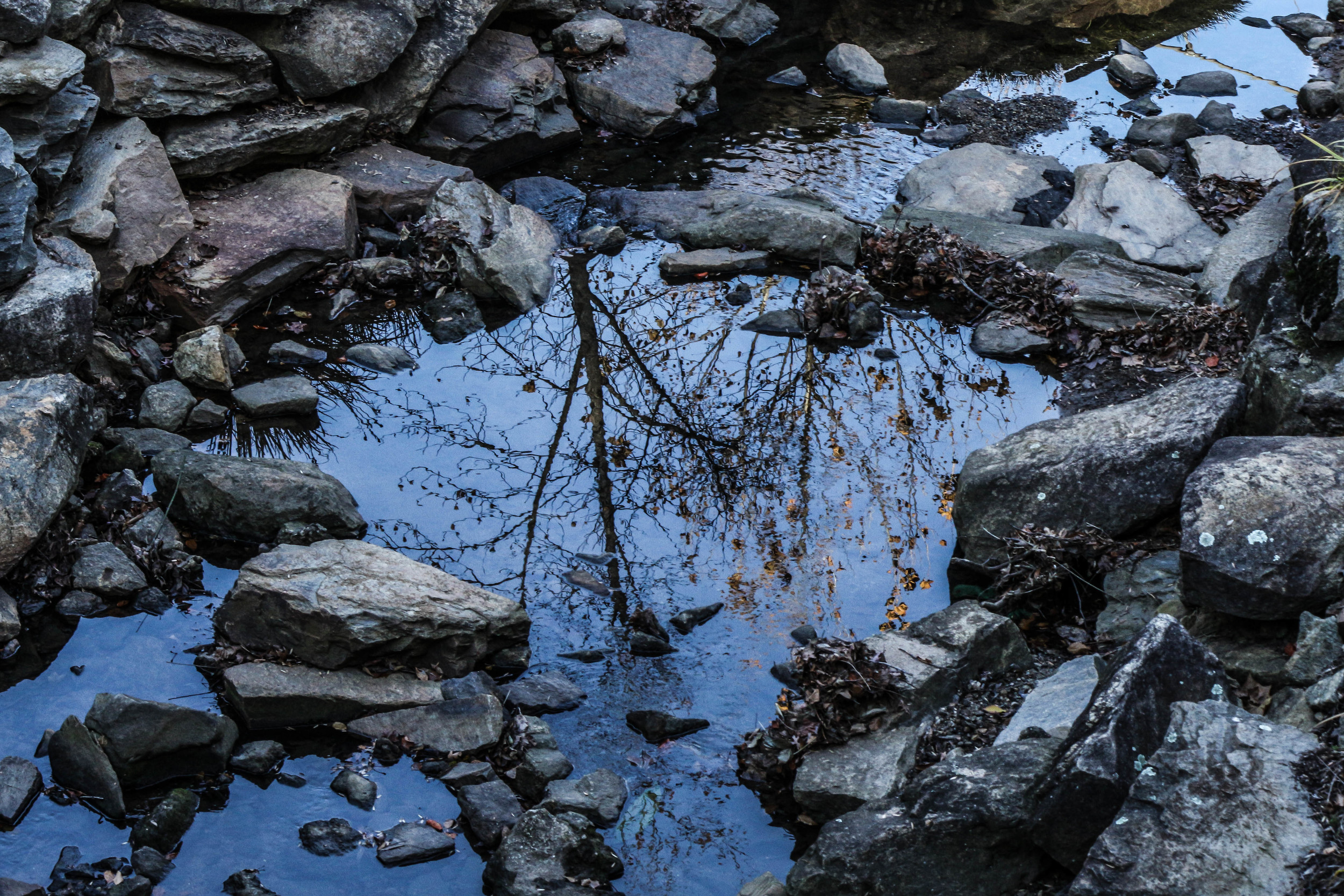 "Reflections are Portals"
