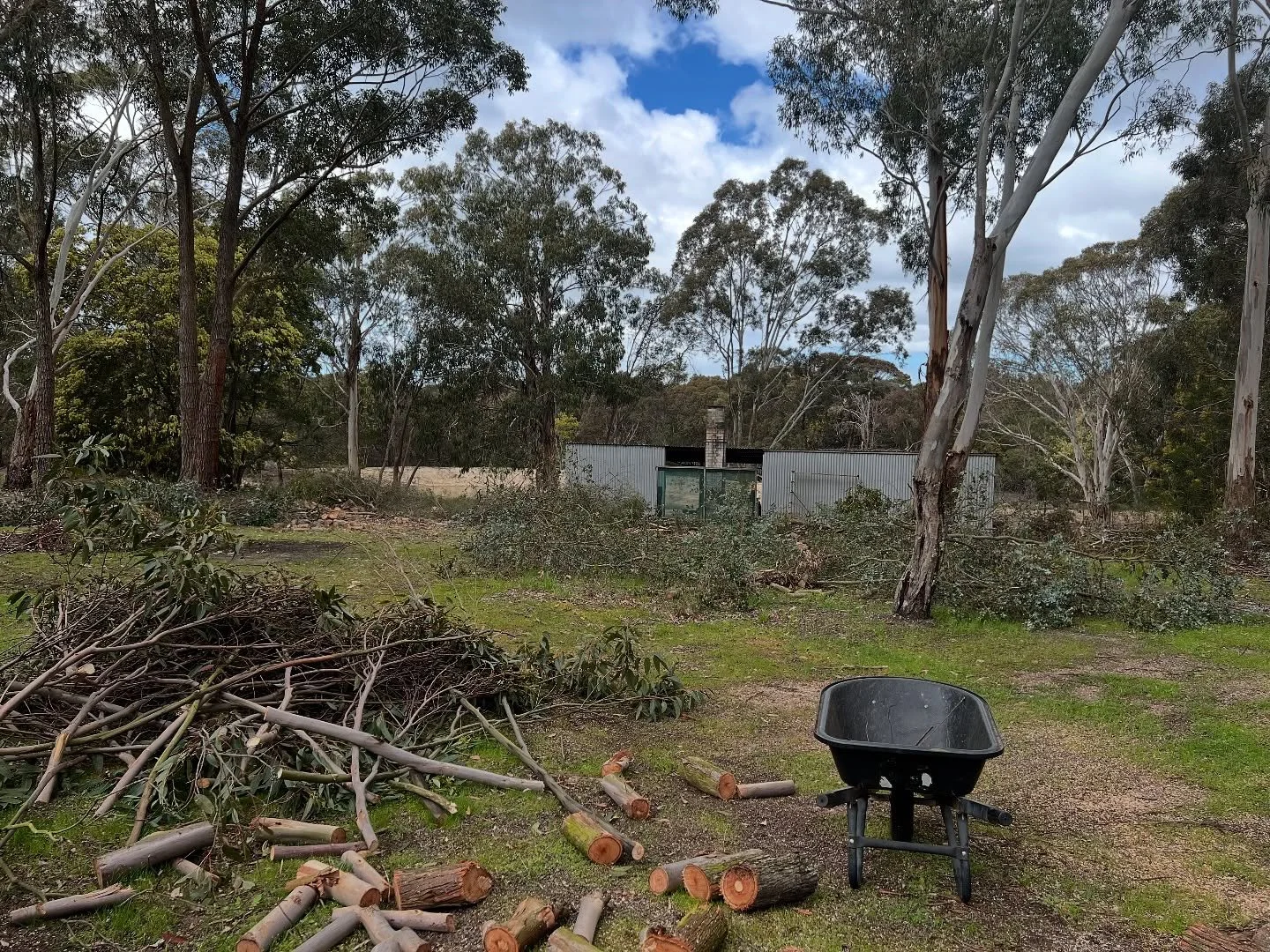 Been busy cutting, stacking and raking. Thanks to @stevedrewpottery for helping mum and I clean up the wood kiln area. 
Now to split wood, get more wood and split some more. Bring on the challenge. 💪 
#bush #rosscreek #pottery #woodfiring #woodkil