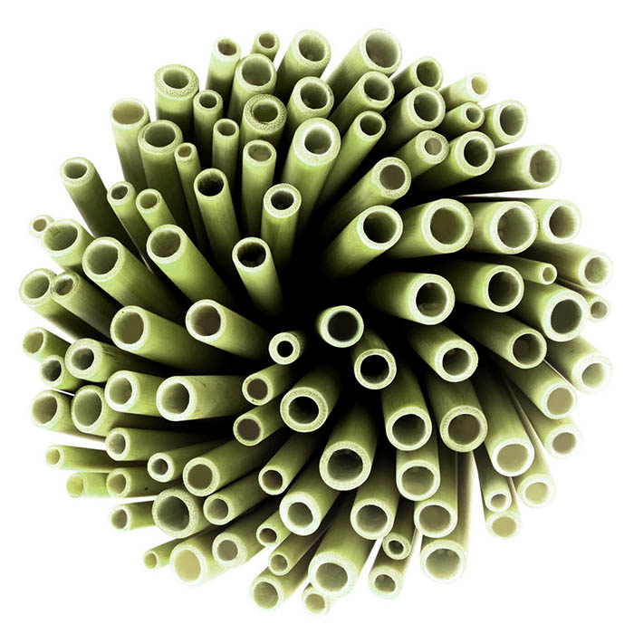 Bam-Straw.jpg