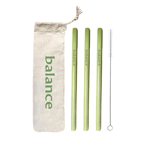 3 Green Bamboo Straws, 1 Brush &amp; 1 Bag Kit