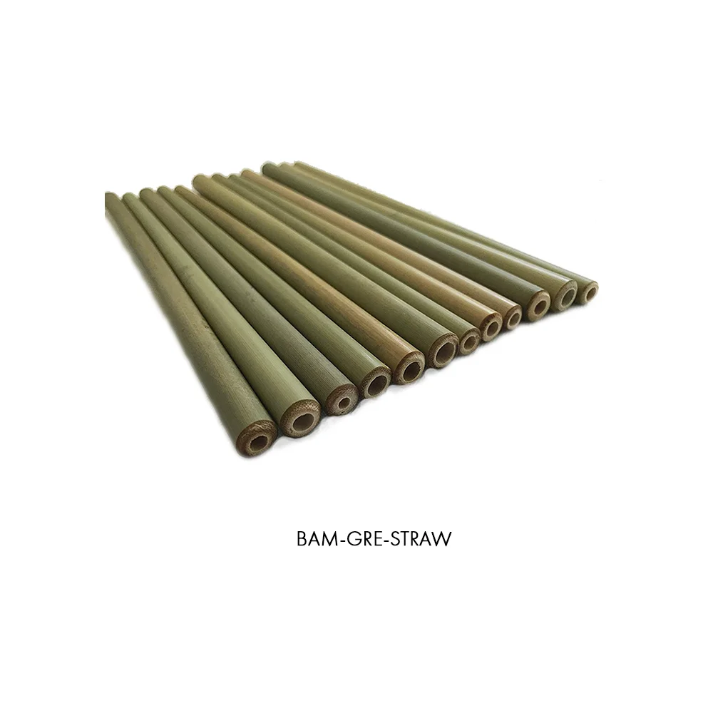 Green Bamboo Drinking Straws 